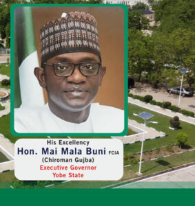 Yet Again, Nigeria Bleeds As Over 50 Killed In An Airstrike On A Market Along The Borno–Yobe Border