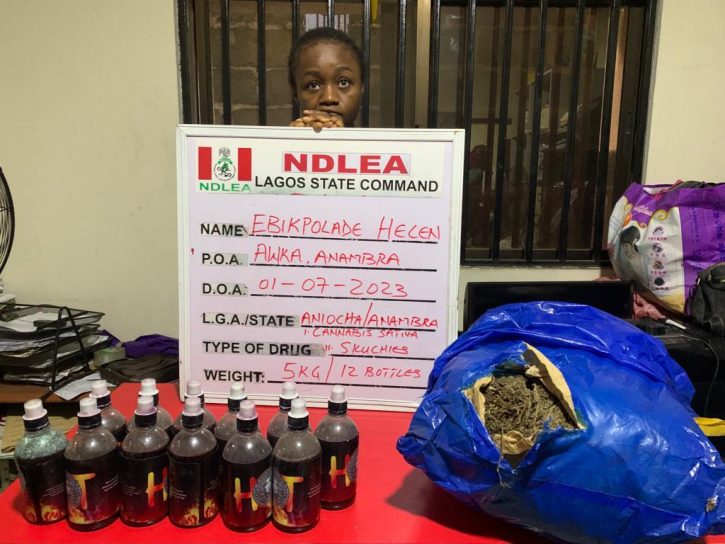 NDLEA Intercepts Illicit Drugs From Canada, Arrests Europe-Bound ...