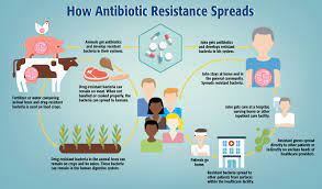 United Kingdom To Spend £210 Million To Tackle Deadly Antimicrobial Resistance, AMR