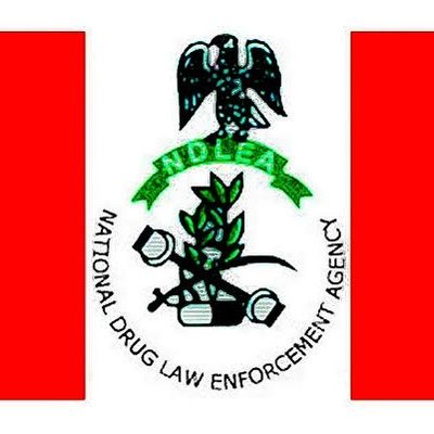 Clearing Agent Arraigned For Drug Importation