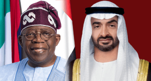 Diplomatic Disgrace: Why Tinubu Must Dissolve Cabinet Immediately---Reps Member