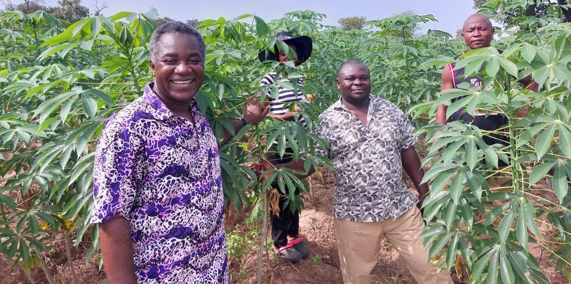 Excitement As Sasakawa Africa Association Incubates Cassava Seed Entrepreneurs
