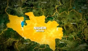 The Woes Of Niger State---Senator