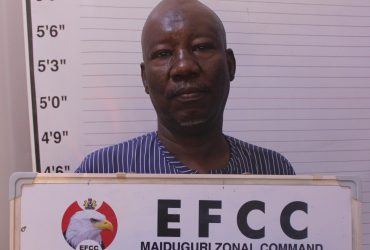 Court Jails Fake BDC Operator In Maiduguri