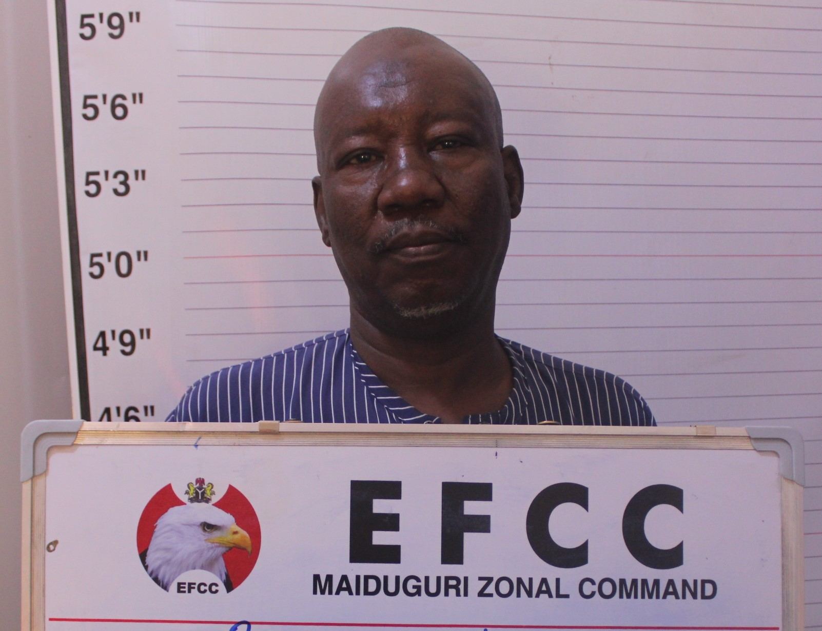 Court Jails Fake BDC Operator In Maiduguri