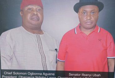 The Cause of Senator Ifeanyi