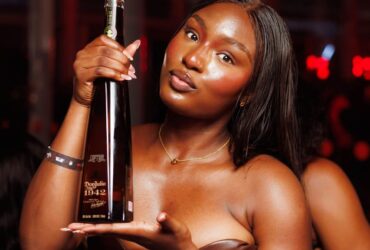 Don Julio, World’s Leading Luxury Tequila, Echoes Signature Flair As Tiwa Savage, BNXN Celebrate Album In Lagos