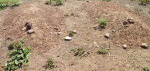 Killing The Living, Re-Killing The Dead. The Horrible Story Of Killings In Nigeria