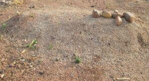 Killing The Living, Re-Killing The Dead. The Horrible Story Of Killings In Nigeria