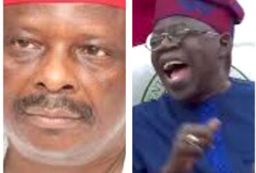 Tinubu Punctures Kwankwasiyya Movement As Kwankwaso Gasps For Political Breath