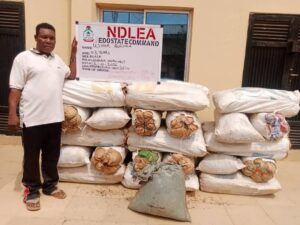 One Of The Most Wanted drug kingpins ‘Kanmo-Kanmo’ arrested by NDLEA Operatives