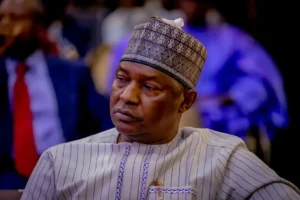 Nigerian Former Minister Forfeits 48 Properties Premium Spots