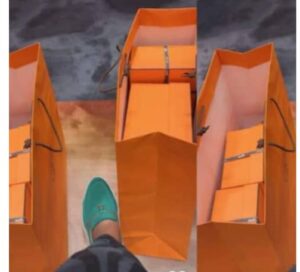 Social Media Validation: Sophia Momodu Claps Back At Trolls Over Hermes Bag Flex