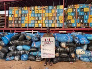 BREAKING: 93-Year-Old Great Grandpa, Medical Doctor Arrested Over Cocaine, Skunk Trafficking