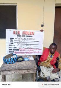 NDLEA Detains 60-Year-Old Woman With Disability, Chidimma Sunday, For Involvement In Illicit Drug Trade