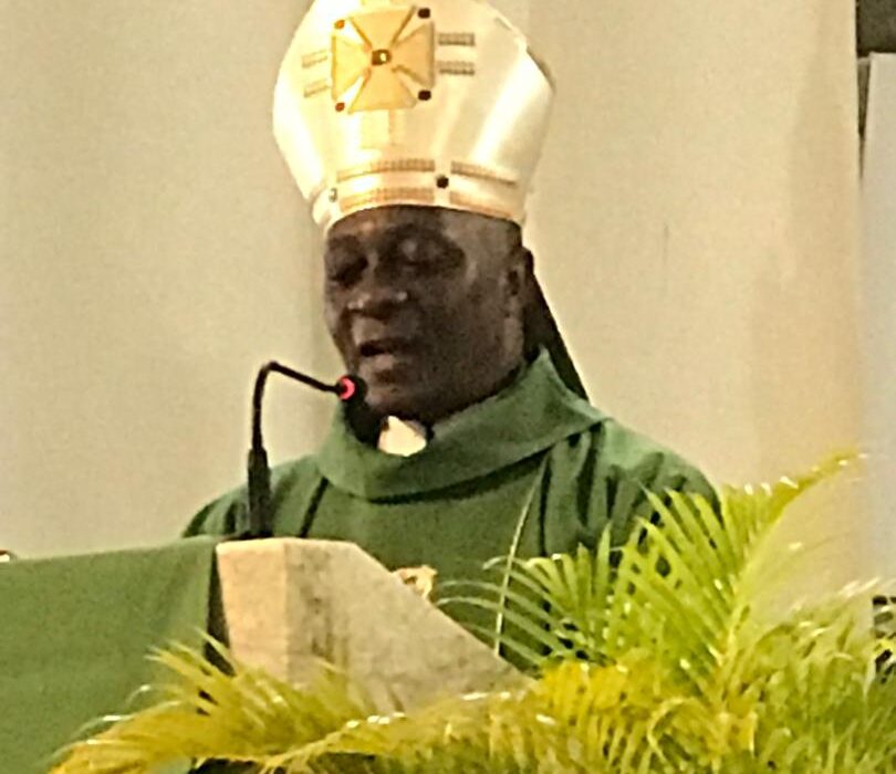 Archbishop Alfred Martins Tasks Govt On Clean Water